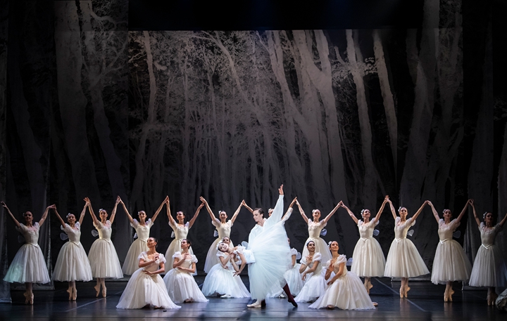 【上海站】法国波尔多国家歌剧院芭蕾舞团《仙女》&《堂•吉诃德》（第三幕）